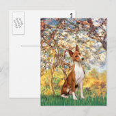 Carte Postale Printemps - Basenji (Devant / Derrière)