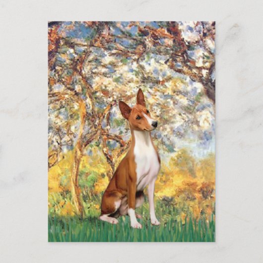 Carte Postale Printemps - Basenji (Devant)