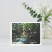 Carte Postale Printemps bleu à Red Clay, Tennessee (Debout devant)