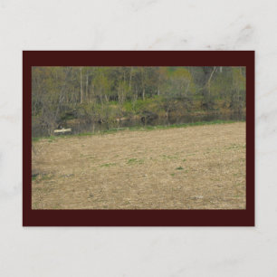 Carte Postale ~ Printemps dans le comté de Lancaster ~ 5