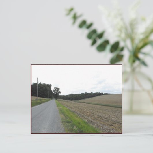 Carte Postale ~ Printemps dans le comté de Lancaster ~ 70 (Debout devant)
