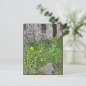 Carte Postale ~ Printemps dans le comté de Lancaster ~ 8 (Debout devant)