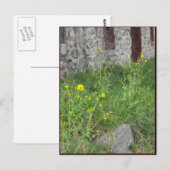 Carte Postale ~ Printemps dans le comté de Lancaster ~ 8 (Devant / Derrière)