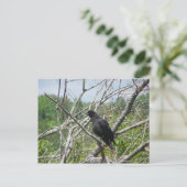 Carte Postale Printemps Dans Le Maine (Debout devant)