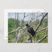 Carte Postale Printemps Dans Le Maine (Devant / Derrière)