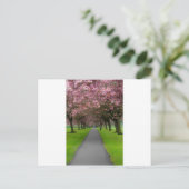Carte Postale Printemps dans le parc (Debout devant)