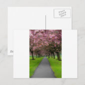 Carte Postale Printemps dans le parc (Devant / Derrière)