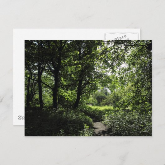 Carte Postale Printemps dans les bois 03 (Devant / Derrière)