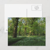 Carte Postale Printemps dans les Bois, Bute Park, Cardiff (Devant / Derrière)