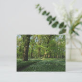 Carte Postale Printemps dans les Bois, Bute Park, Cardiff (Debout devant)