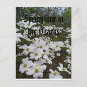 Carte Postale Printemps dans les Ozarks (Devant)