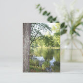 Carte postale "Printemps dans l'est du Tennessee" (Debout devant)