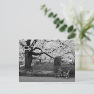 Carte Postale Printemps dans l'ouest de Tokyo