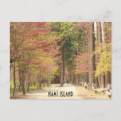 Carte postale Printemps de l'île Nami (Devant)