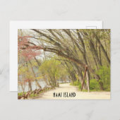 Carte postale Printemps de l'île Nami (Devant / Derrière)