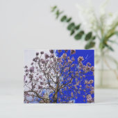 Carte Postale Printemps de Manchester (Debout devant)