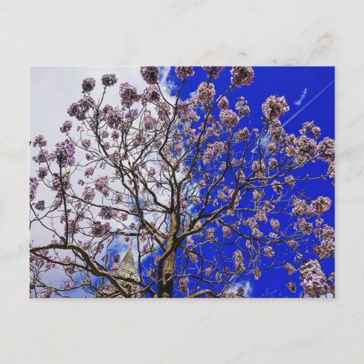 Carte Postale Printemps de Manchester (Devant)