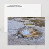 Carte Postale Printemps des coquilles dans le parc national de Y (Devant / Derrière)