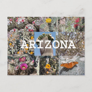 Carte postale Printemps en Arizona