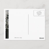 Carte Postale Printemps en fleurs (Dos)