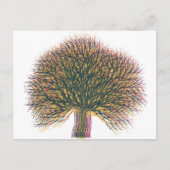 Carte Postale Printemps été automne hiver arbre (Devant)