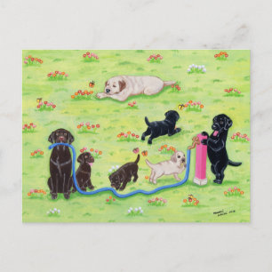 Carte Postale Printemps Fun Labradors Peinture