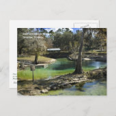 Carte postale Printemps hiver (Devant / Derrière)