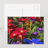 Carte postale Printemps Iridescente (Devant / Derrière)