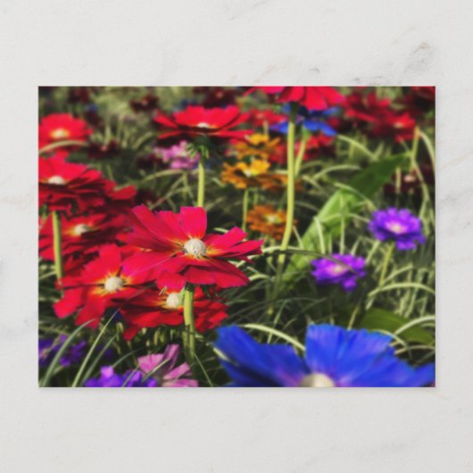 Carte postale Printemps Iridescente (Devant)