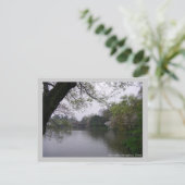 Carte Postale Printemps Lakeside / Voyage photo Chine (Debout devant)