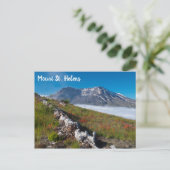 Carte Postale Printemps sur le Mont St. Helens (Debout devant)