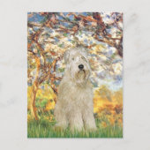 Carte Postale Printemps - Terrier roumain 7 (Devant)