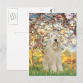 Carte Postale Printemps - Wheaten Terrier 7 (Devant / Derrière)