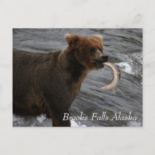 Carte Postale Pris, Brooks Falls Alaska