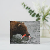 Carte Postale Pris, Brooks Falls Alaska (Debout devant)