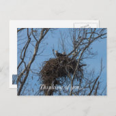 Carte Postale Problème de double aigle (Devant / Derrière)