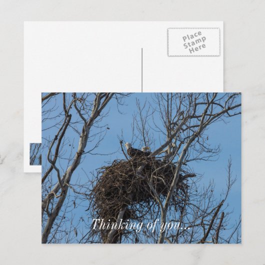 Carte Postale Problème de double aigle (Devant / Derrière)