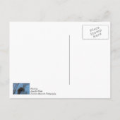 Carte Postale Problème de double aigle (Dos)