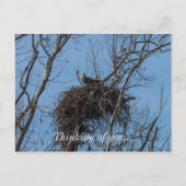 Carte Postale Problème de double aigle (Devant)