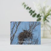 Carte Postale Problème de double aigle (Debout devant)