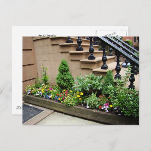 Carte Postale Problème Pot O (Devant / Derrière)