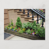 Carte Postale Problème Pot O (Devant)