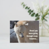 Carte postale ・ problèmes de port Kermode Bear (Debout devant)