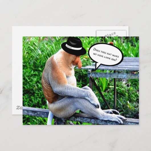 Carte Postale Proboscis Monkey-Est-ce que casquette me fait para (Devant / Derrière)