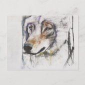 Carte Postale Processo Al Lupo (Devant)