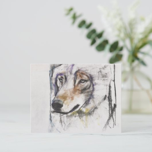 Carte Postale Processo Al Lupo (Debout devant)