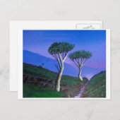 Carte Postale Proche de la DMZ Corée du Sud (Devant / Derrière)