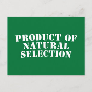 Carte Postale Produit De Sélection Naturelle