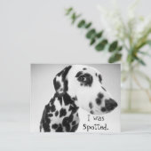 Carte Postale Produits dalmatiens (Debout devant)
