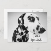 Carte Postale Produits dalmatiens (Devant / Derrière)